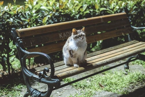 Best Parks and Picnic Spots in Istanbul